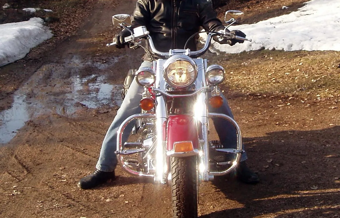 Harley-Davidson Softail, vue extérieure du modèle