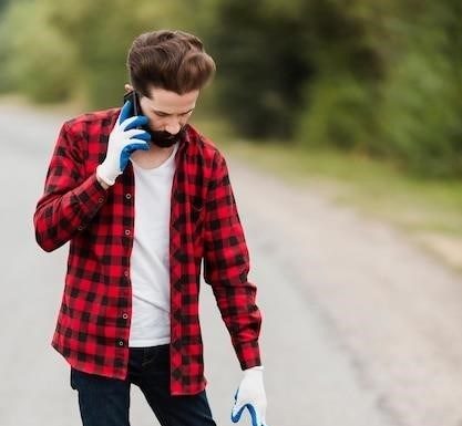 Pneus Petlas avis ⁚ avantages, gammes et tarifs